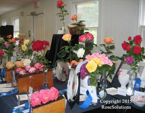 RI Rose Society Rose Show Awards Table